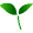 leaf2